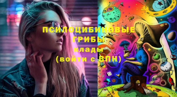 сатива Армянск