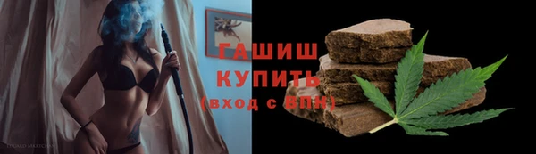 сатива Армянск