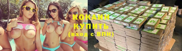 сатива Армянск