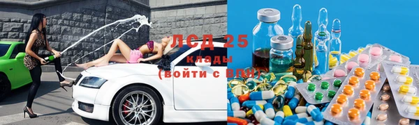 спиды Аркадак